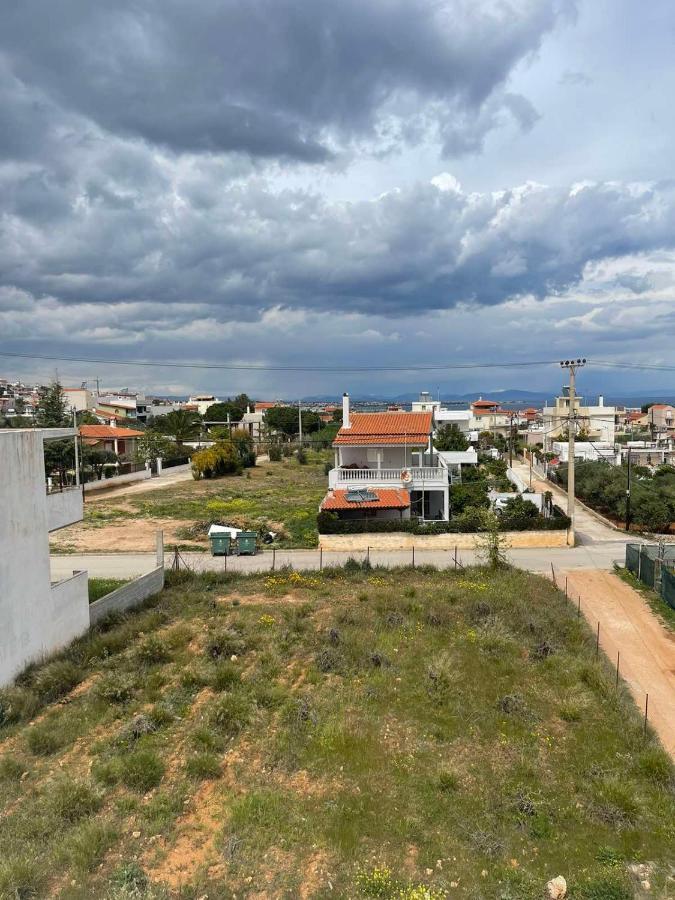 Airport View Apartments Ártemida Kültér fotó